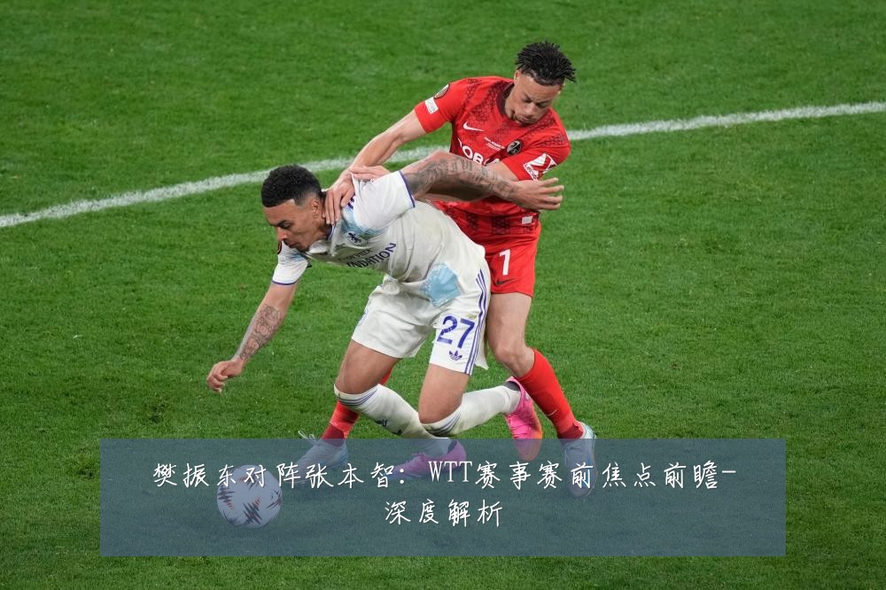 樊振东对阵张本智:WTT赛事赛前焦点前瞻-深度解析
